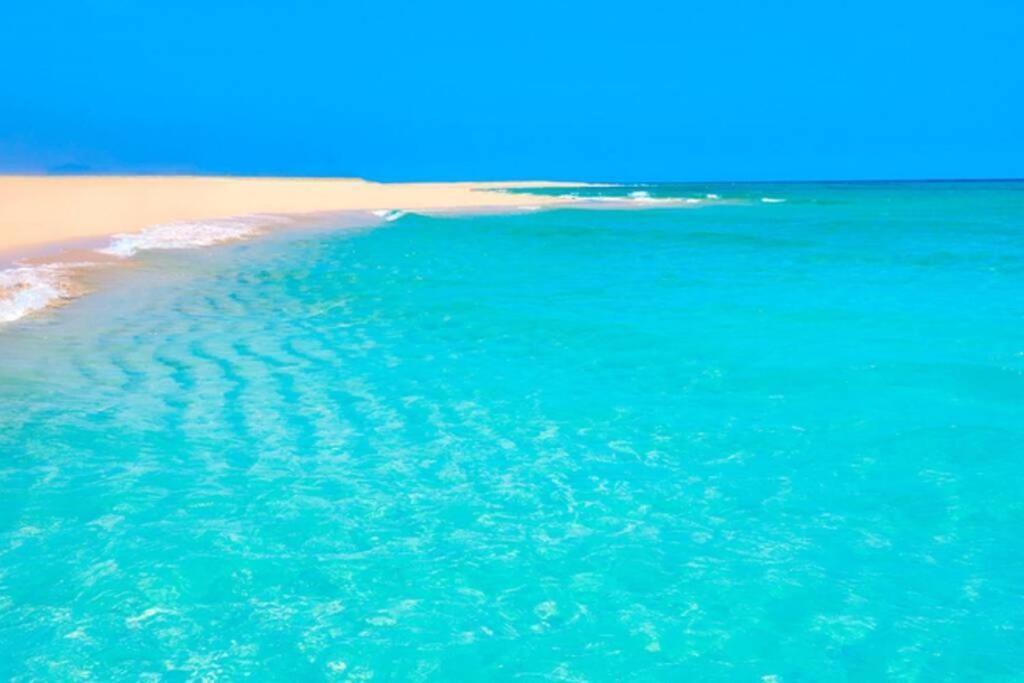 Tropical Paradise タラハレホ エクステリア 写真